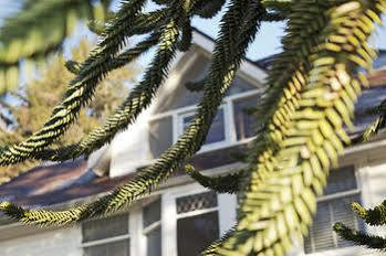 Hôtel Swartz Bay Farm à Sidney Extérieur photo
